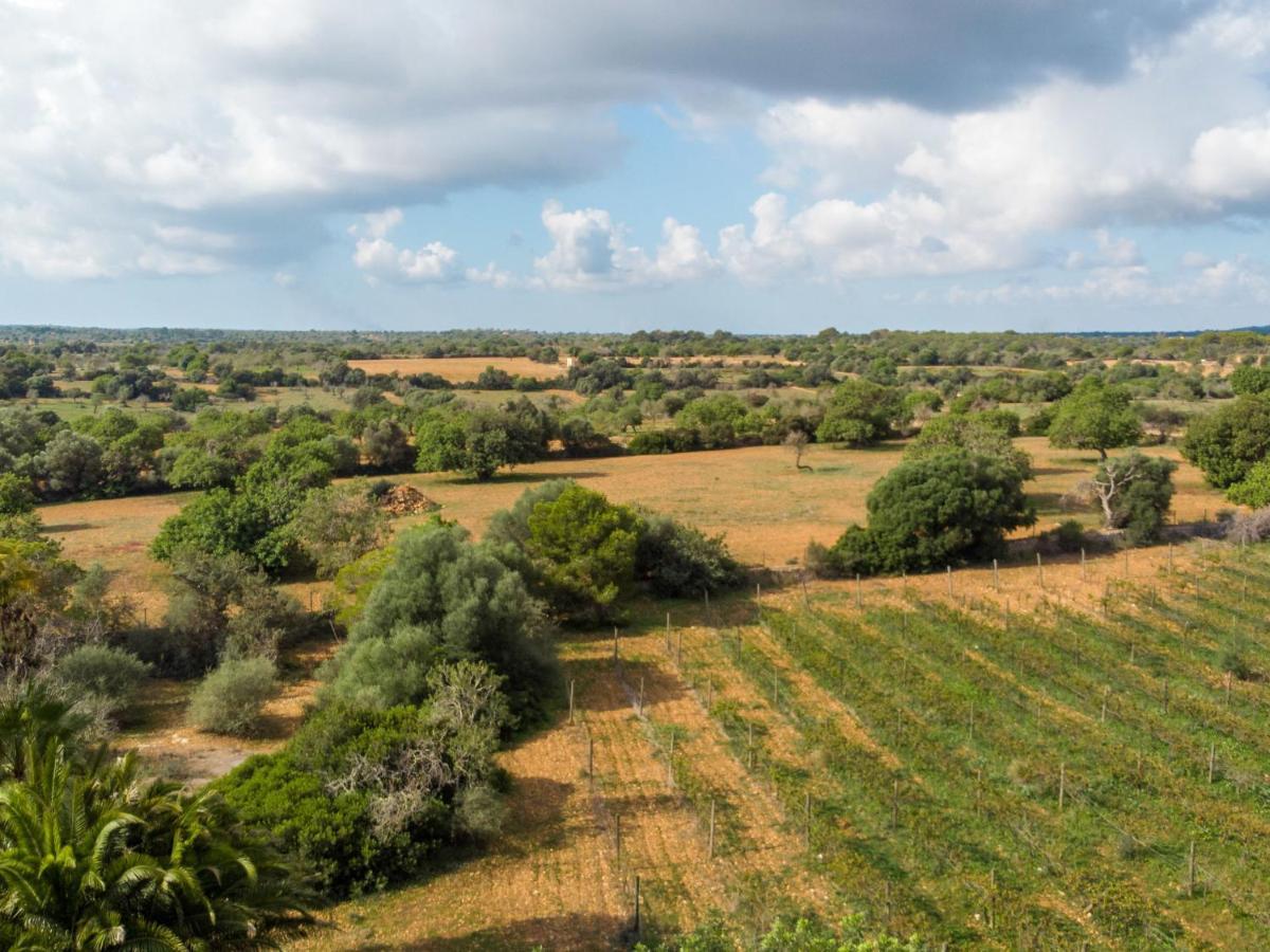 Holiday Home Morla - Psr130 By Interhome Porreres Esterno foto